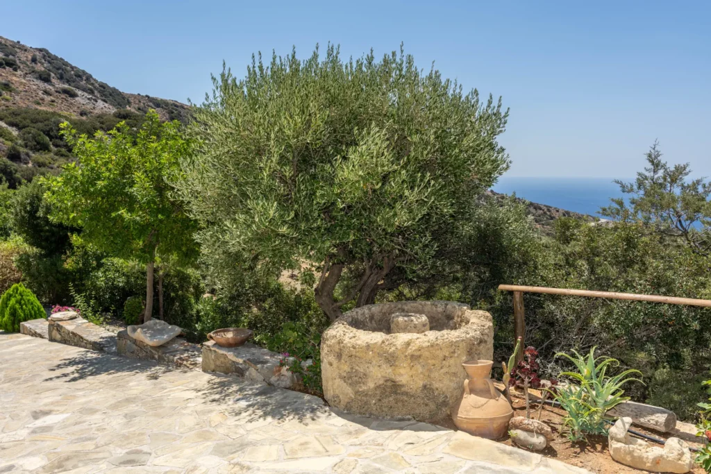 Stone courtyards, olive trees and terraces at Vorénia Horizon, South Crete